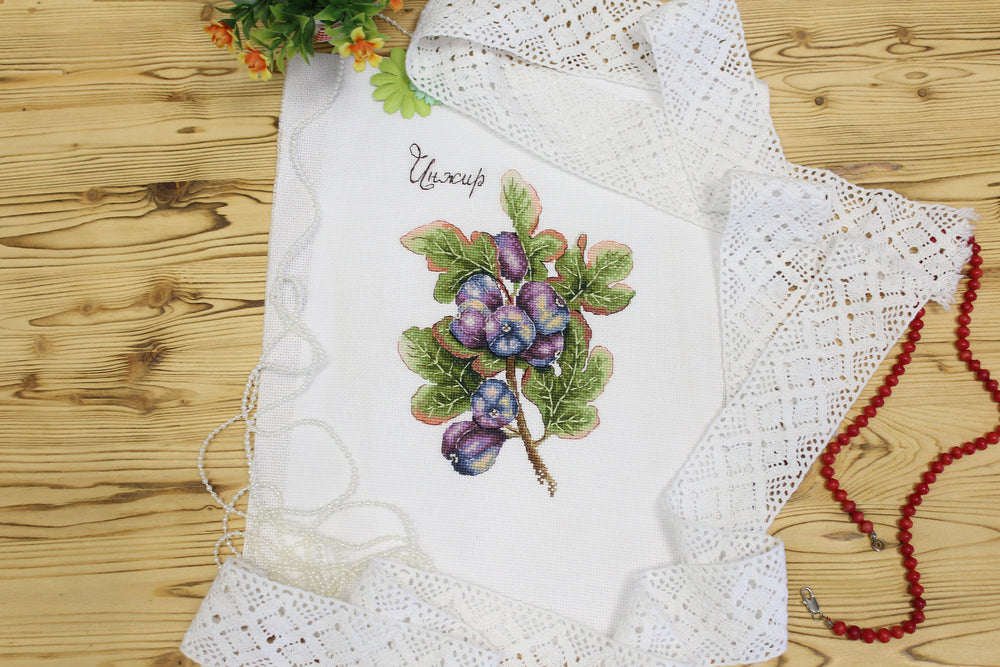 Cadeaux de la nature. Figues - SNV-768 MP Studia - Kit de point de croix