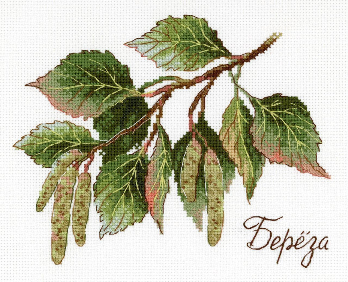 Cadeaux de la nature. Bouleau - SNV-817 MP Studia - Kit de point de croix