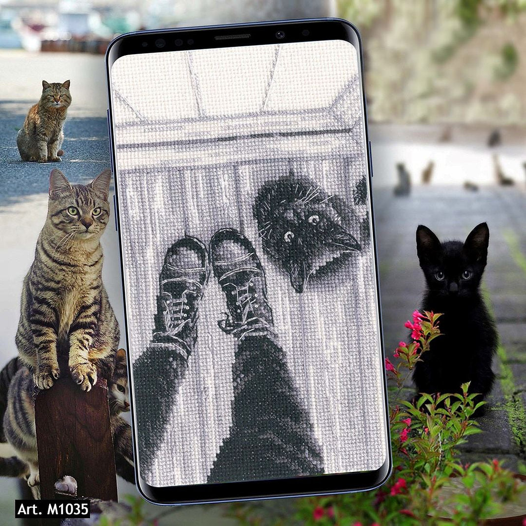 Kit de point de croix compté - Chat noir RTO M1035