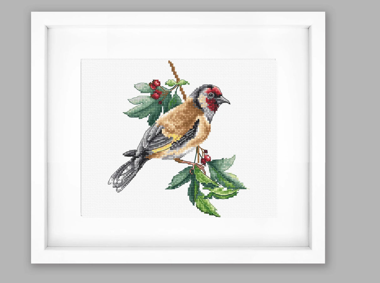 Goldfinch bird - B1197 Luca-S - Kit de Punto de Cruz