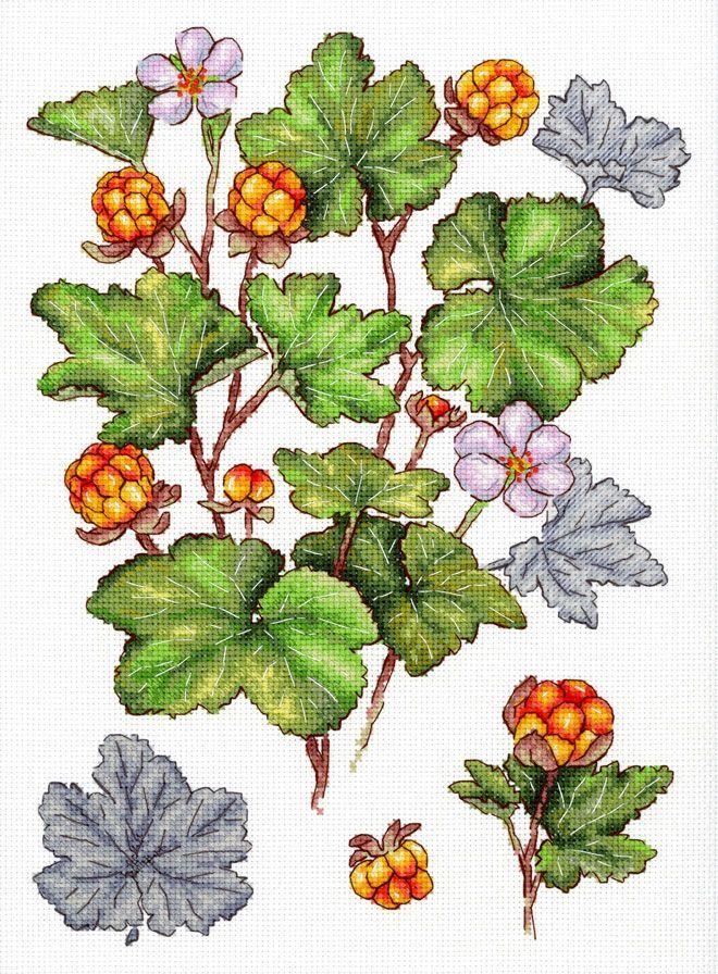 Kit de punto de cruz Cloudberry MP Studia con ramas de frutos silvestres anaranjados y hojas verdes en estilo botánico sobre tela blanca