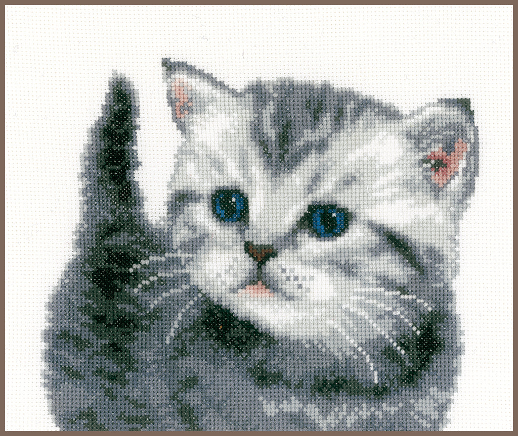 Grey tiger kitten - Vervaco - Kit de punto de cruz PN-0153747