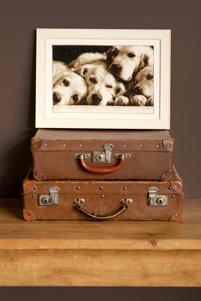 Labradores - Vervaco - Kit de punto de cruz