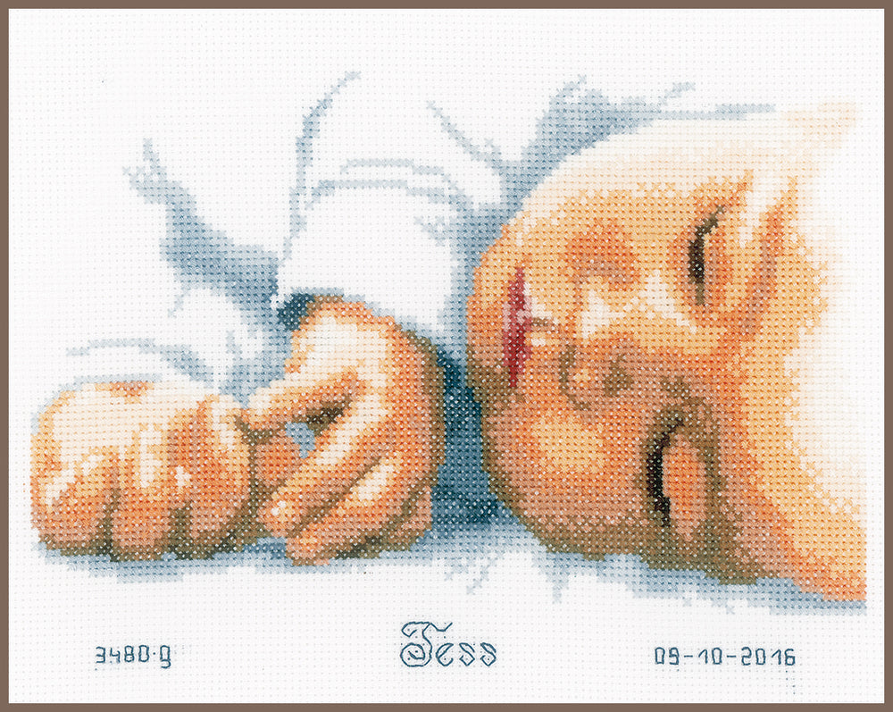 Natalicio - Recién nacido - Vervaco - Kit de punto de cruz PN-0154563