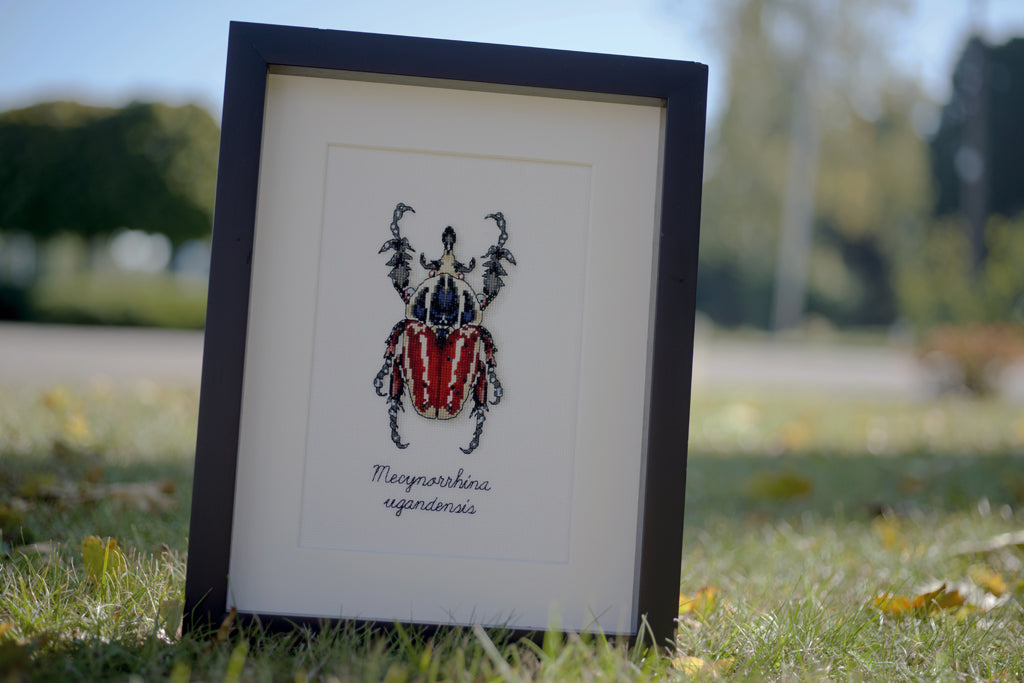 LMV Red beetle - Vervaco - Kit de punto de cruz PN-0165074