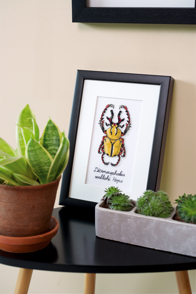 LMV Golden beetle - Vervaco - Kit de punto de cruz PN-0165220