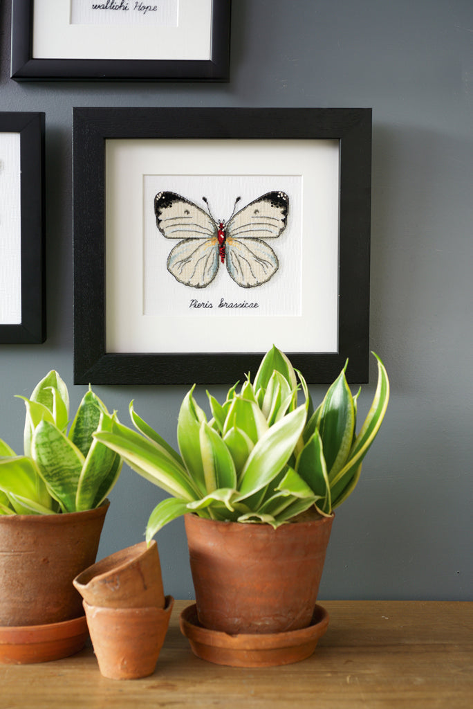 LMV White butterfly - Vervaco - Kit de punto de cruz PN-0165233