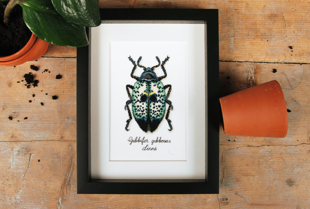 LMV Blue beetle - Vervaco - Kit de punto de cruz PN-0165369