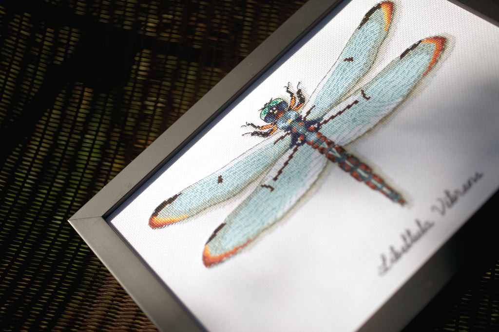 LMV Dragonfly - Vervaco - Kit de punto de cruz PN-0165453