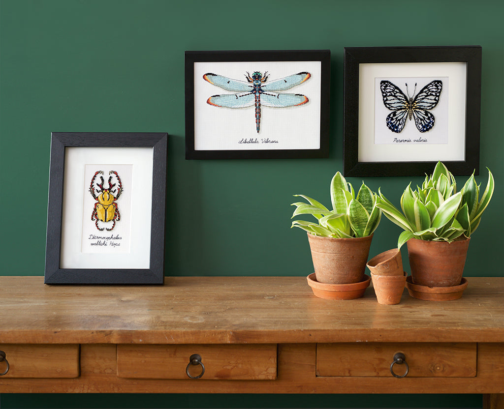 LMV Dragonfly - Vervaco - Kit de punto de cruz PN-0165453