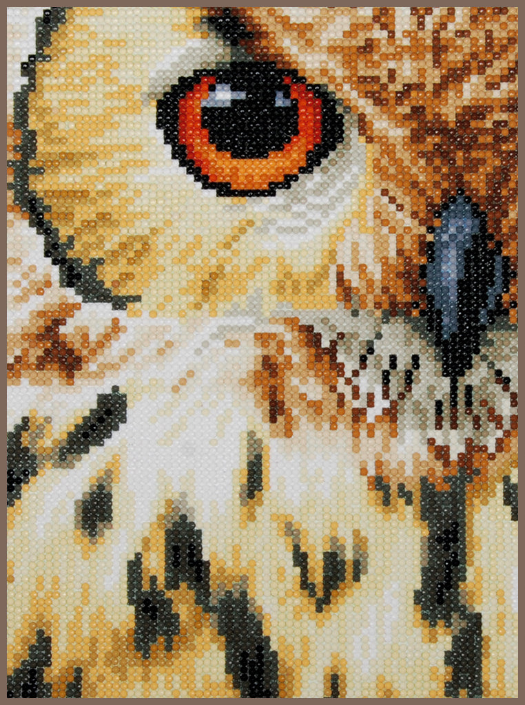 Owl - Lanarte - Kit Punto Diamante PN-0184320