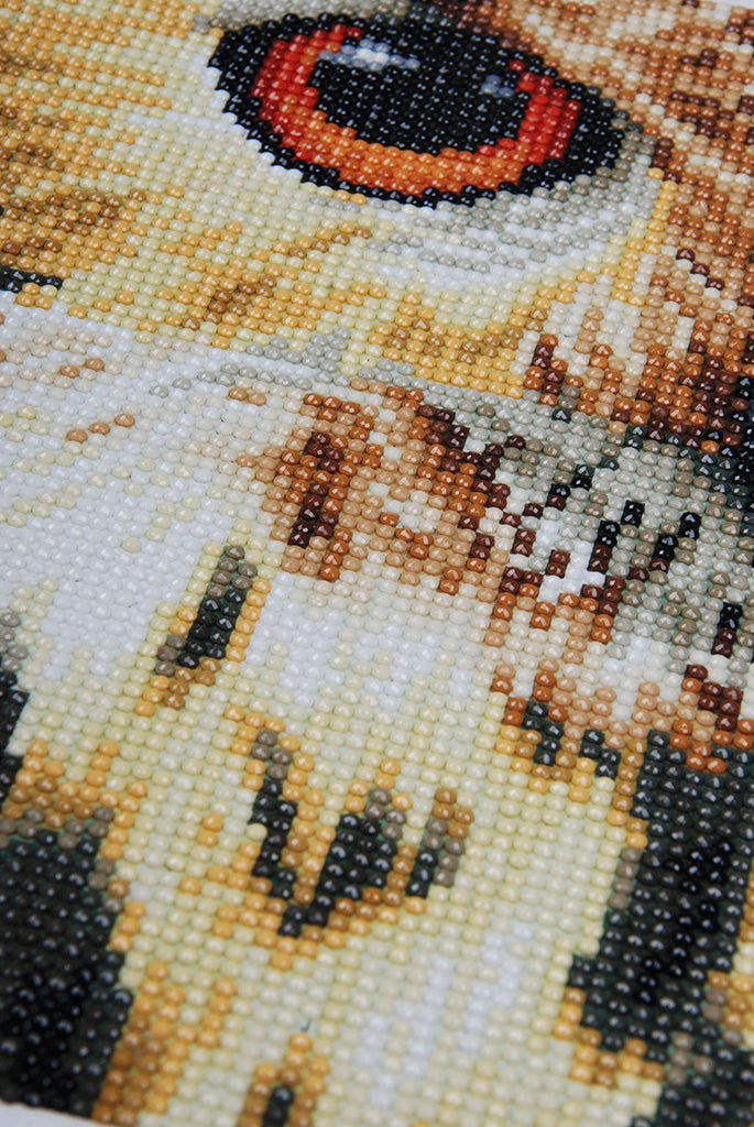 Owl - Lanarte - Kit Punto Diamante PN-0184320