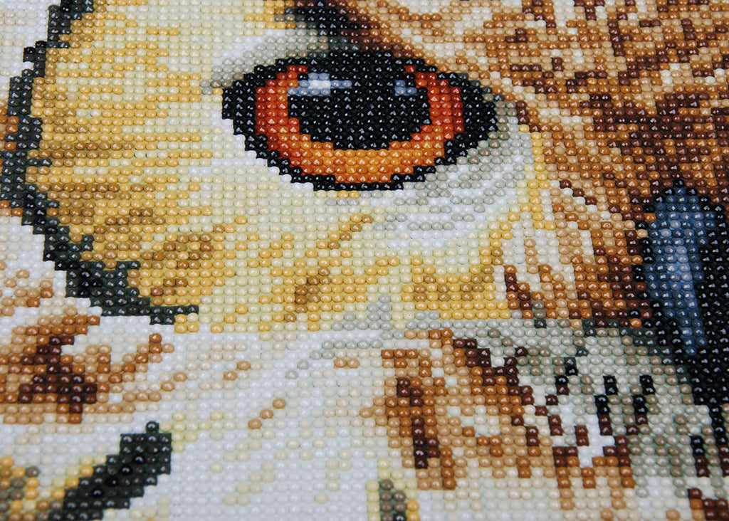 Owl - Lanarte - Kit Punto Diamante PN-0184320