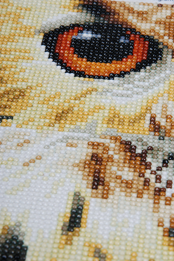 Owl - Lanarte - Kit Punto Diamante PN-0184320