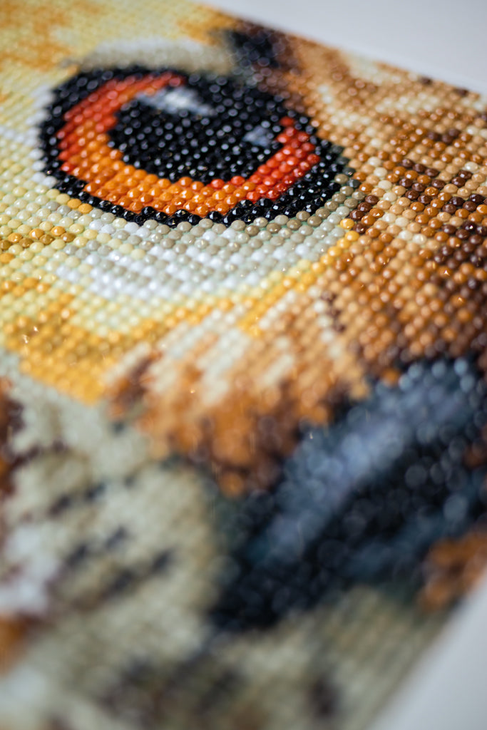 Owl - Lanarte - Kit Punto Diamante PN-0184320