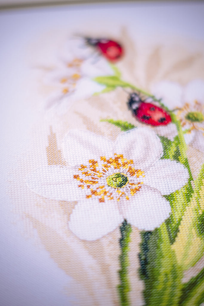 Ladybug parade - Lanarte - Kit de punto de cruz