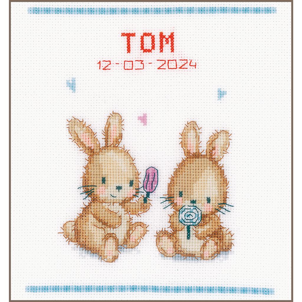 Cross Stitch Kit - Ice Cream Party with Vervaco Bunnies