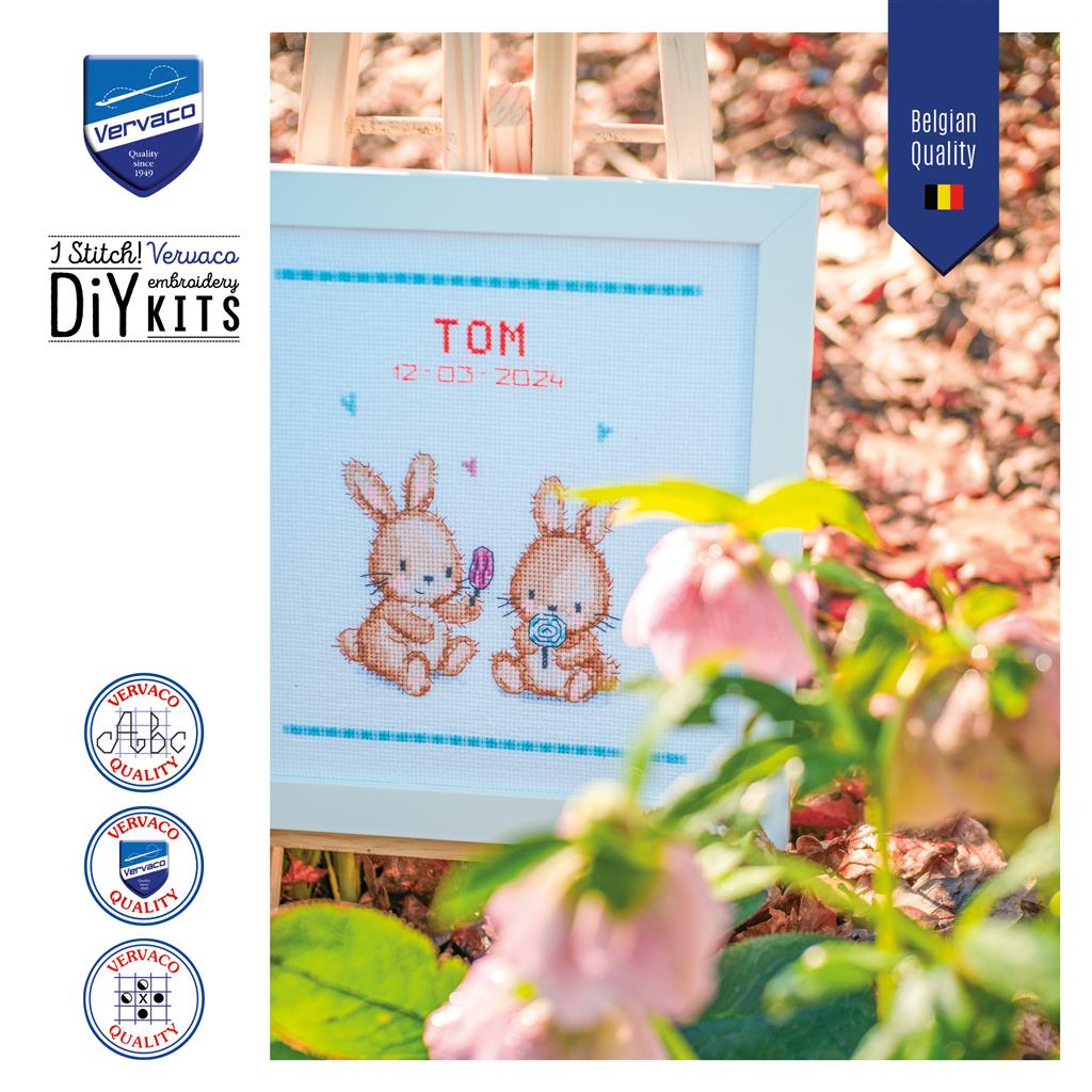 Cross Stitch Kit - Ice Cream Party with Vervaco Bunnies