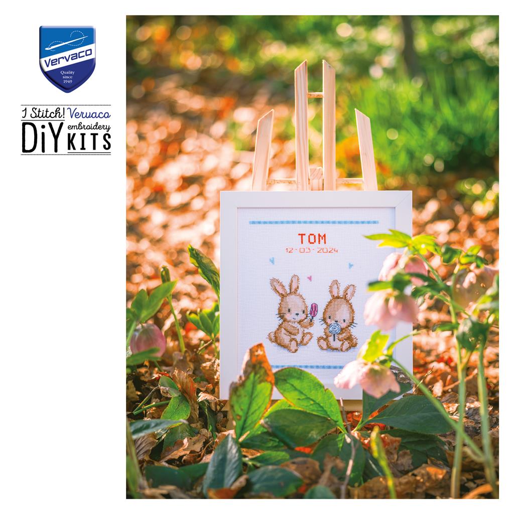 Cross Stitch Kit - Ice Cream Party with Vervaco Bunnies