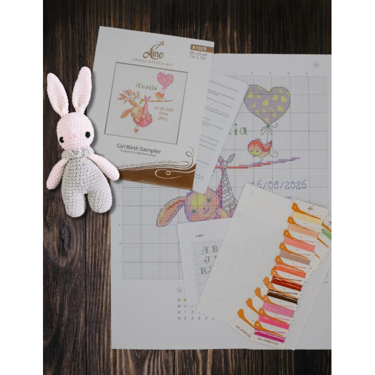 Kit punto de cruz Girl Birth Sampler A1029 Aine