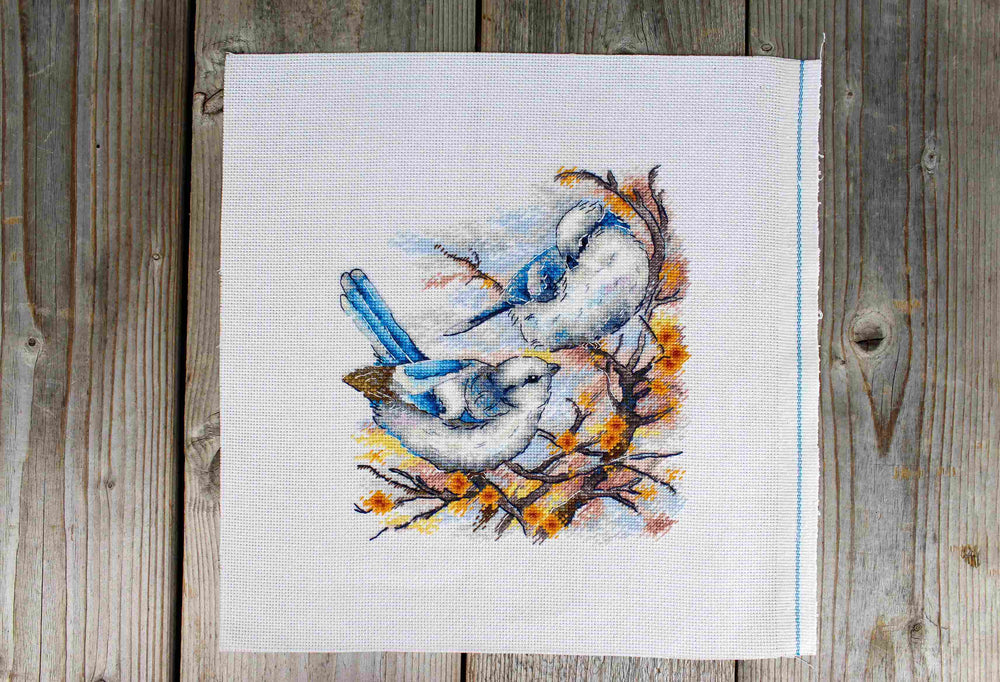 Kit de point de croix « Aristocrates à plumes » SNV-924