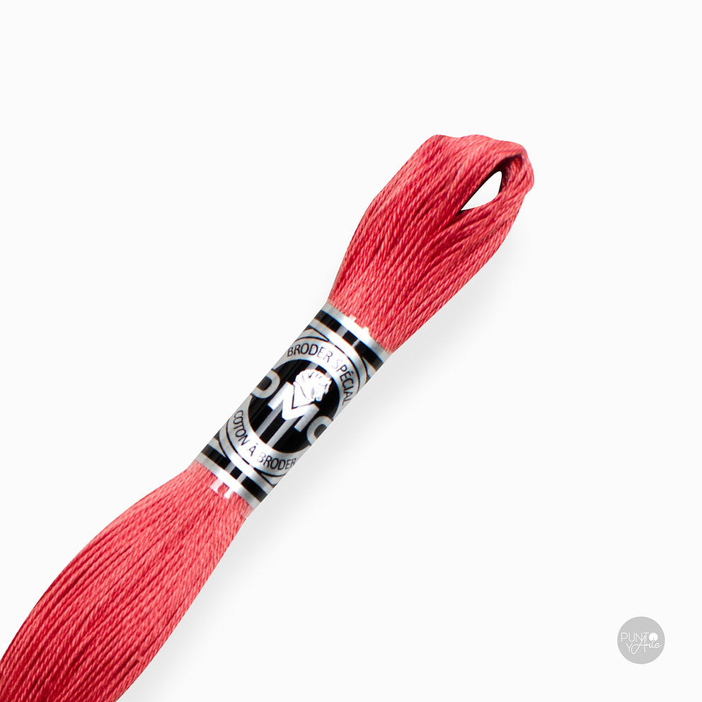Special Embroidery Thread DMC 107/16: Brightness and quality in your embroidery