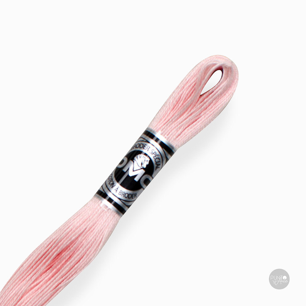 Special Embroidery Thread DMC 107/16: Brightness and quality in your embroidery