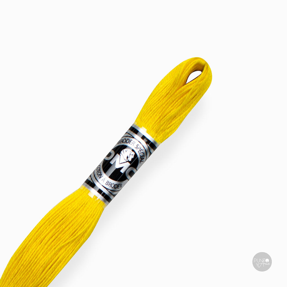 Special Embroidery Thread DMC 107/16: Brightness and quality in your embroidery