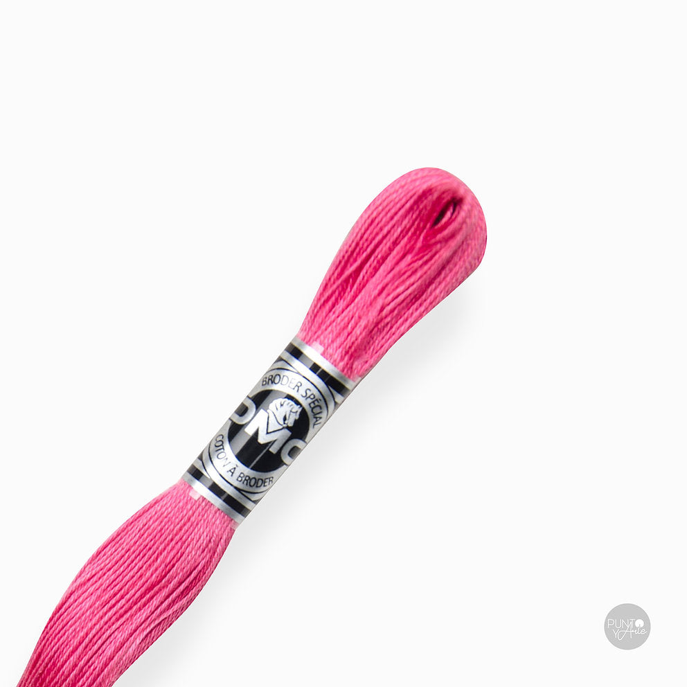 Special Embroidery Thread DMC 107/16: Brightness and quality in your embroidery