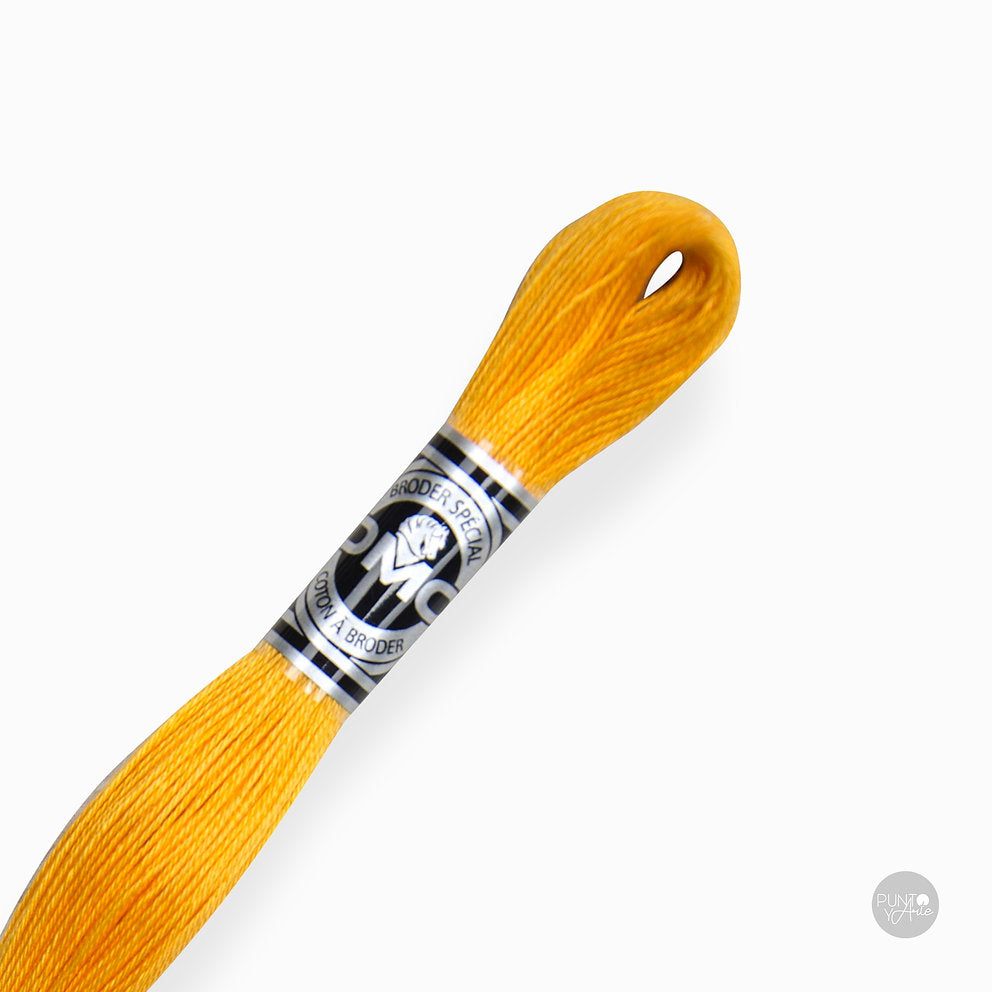 Special Embroidery Thread DMC 107/16: Brightness and quality in your embroidery