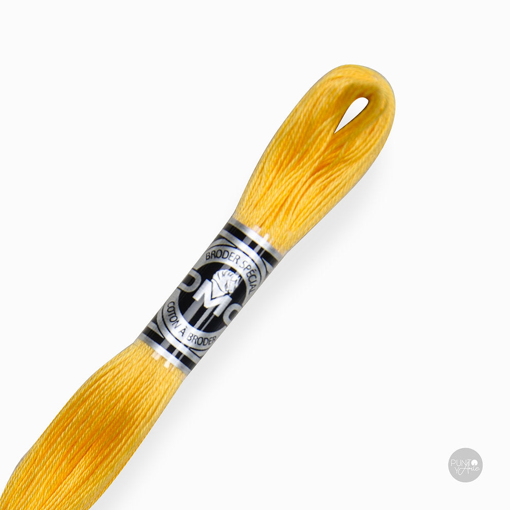 Special Embroidery Thread DMC 107/16: Brightness and quality in your embroidery