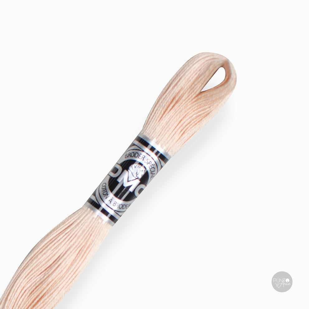Special Embroidery Thread DMC 107/16: Brightness and quality in your embroidery
