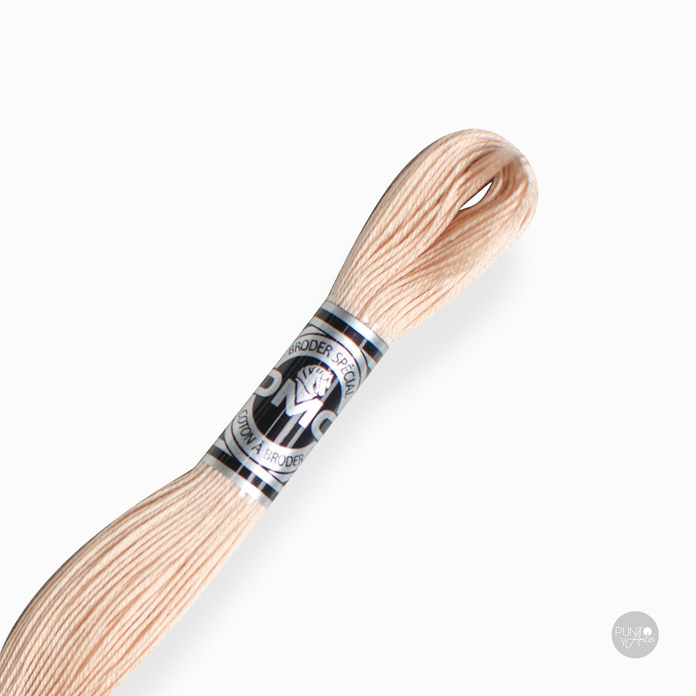 Special Embroidery Thread DMC 107/16: Brightness and quality in your embroidery