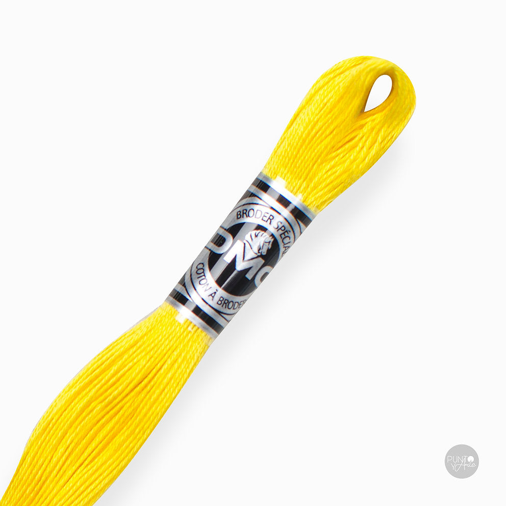 Special Embroidery Thread DMC 107/16: Brightness and quality in your embroidery