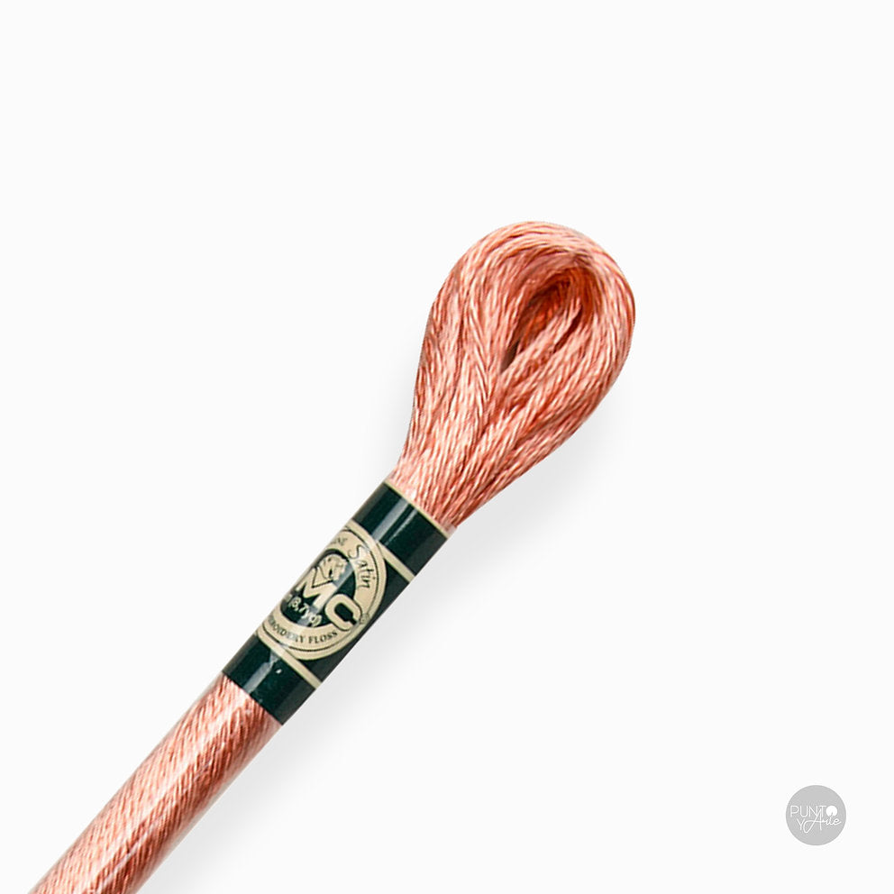 Hilo DMC Mouliné Satin - Brillante y Resistente 1008F