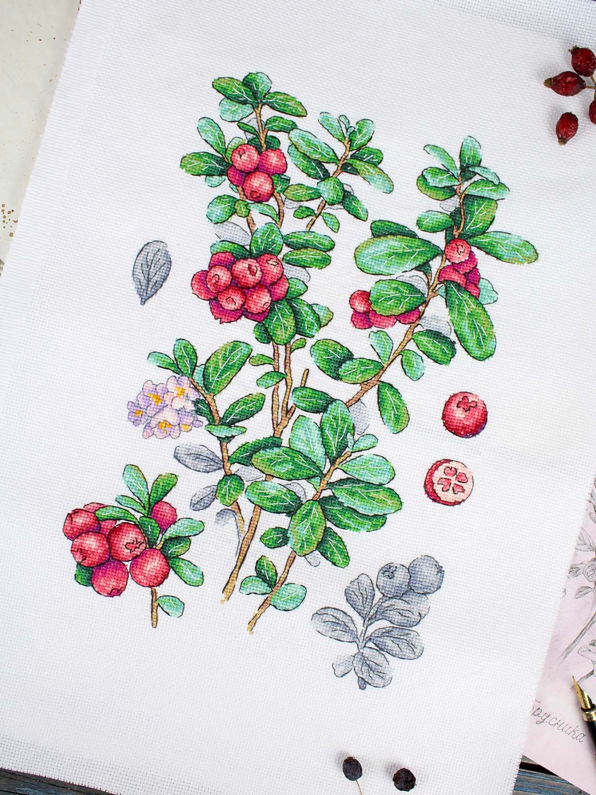 Cross Stitch Kit "Cowberry" MP Studia SNV-928 – Botanical Cranberries 29x20 cm Aida 16 ct