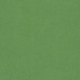 1235/6130 Tela Linda Schulertuch 27 ct. color Grass Green - ZWEIGART