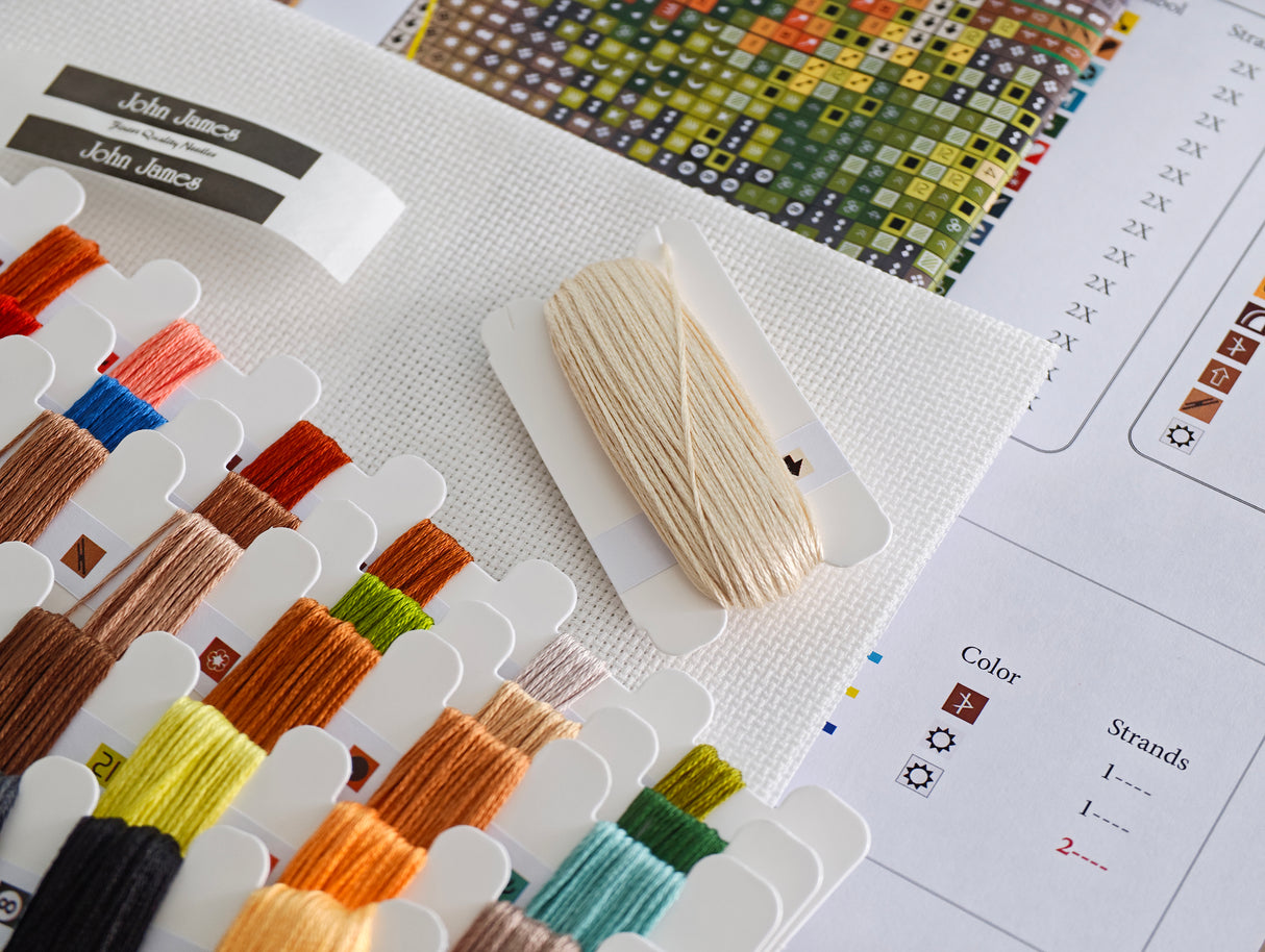 Counted Cross Stitch Kit "The Blue Vespa" – AVA Stitch P168