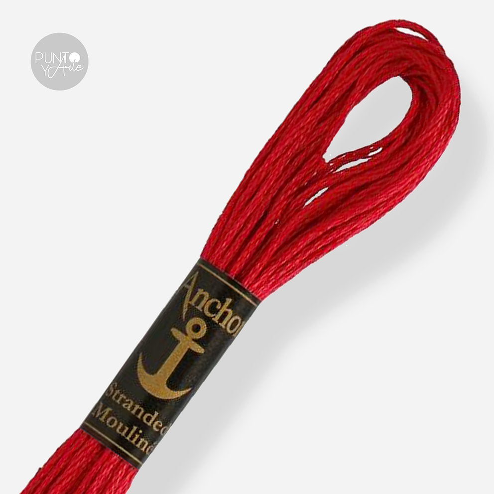 0019 Anchor Stranded Mouliné: Quality and Color for Your Embroidery