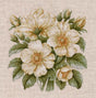Kit de punto de cruz Oven S1731 Wild Rose Hips con rosas silvestres blancas, capullos y hojas verdes bordado sobre lino.
