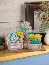 Kit avec perles sur base en bois « Succulent Garden » MP Studia SO-160 – Décoration 3D 14×20×7 cm