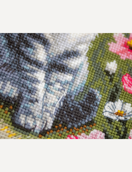 Kit de punto de cruz Aine A1041 – Garden Whiskers, gato entre flores, 20 × 20 cm