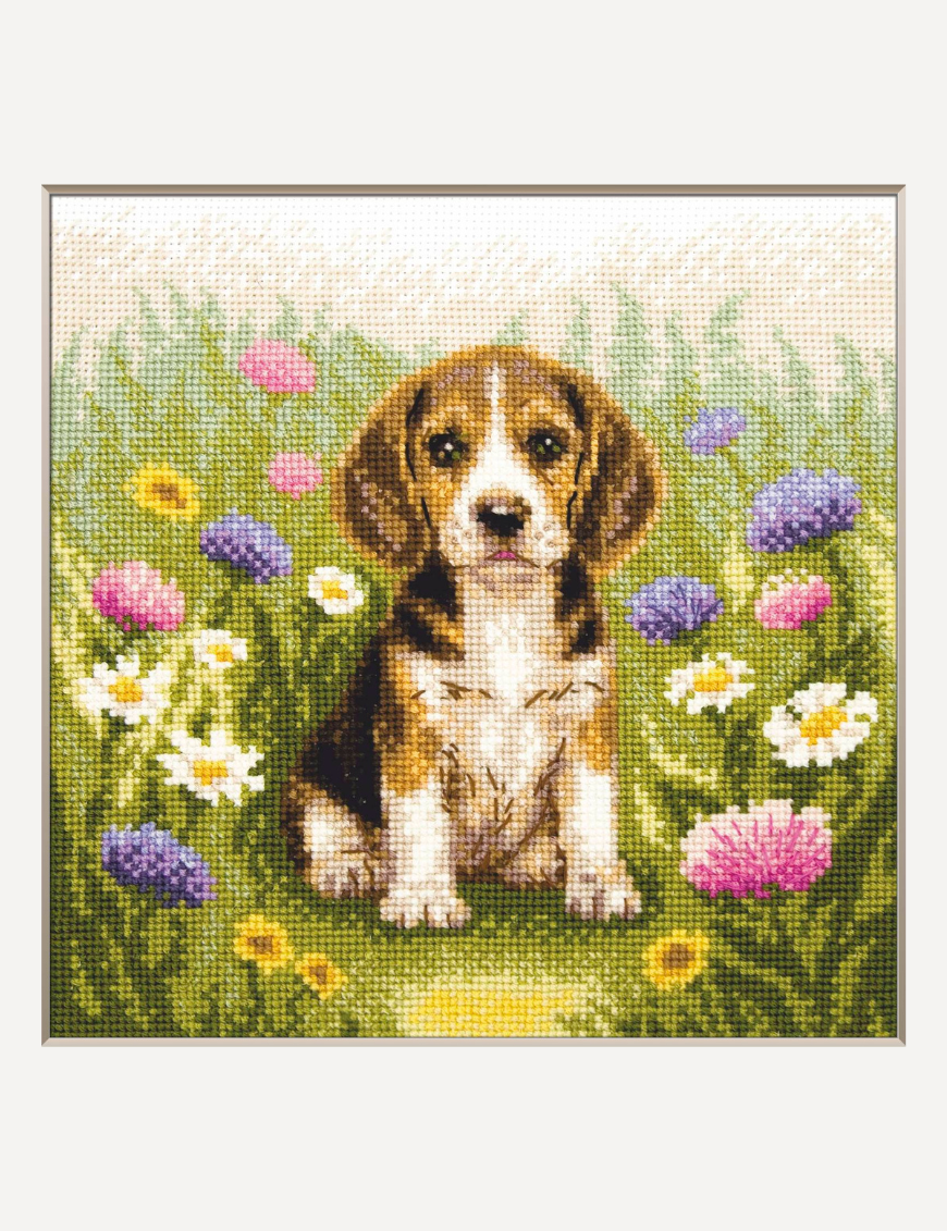 Kit de punto de cruz Aine A1048 – Meadow Pup, cachorro beagle, 20 × 20 cm