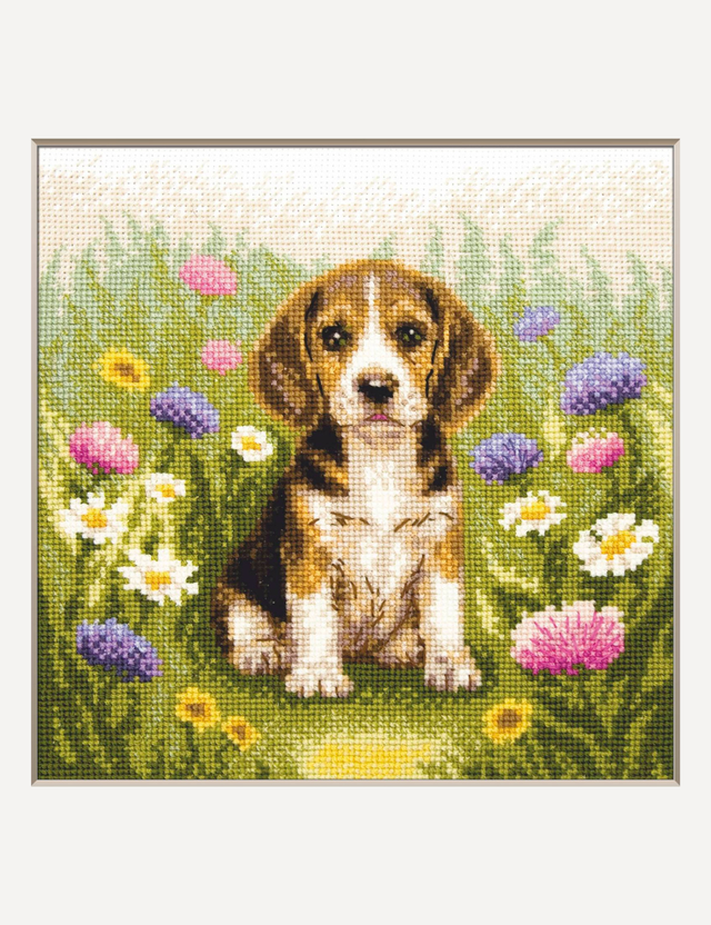 Kit de punto de cruz Aine A1048 – Meadow Pup, cachorro beagle, 20 × 20 cm