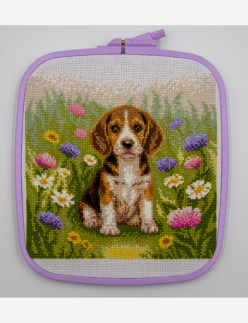Kit de punto de cruz Aine A1048 – Meadow Pup, cachorro beagle, 20 × 20 cm
