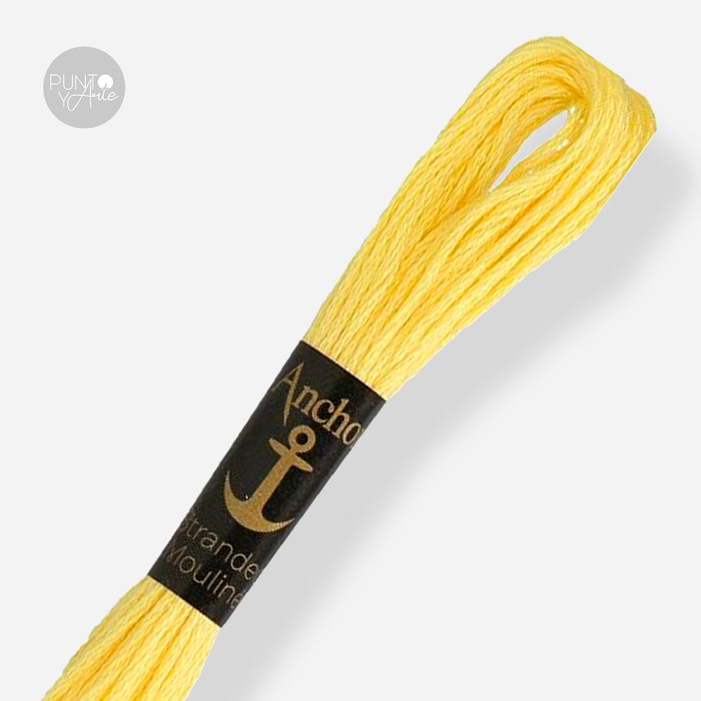 0295 Anchor Stranded Mouliné: Quality and Color for Your Embroidery 