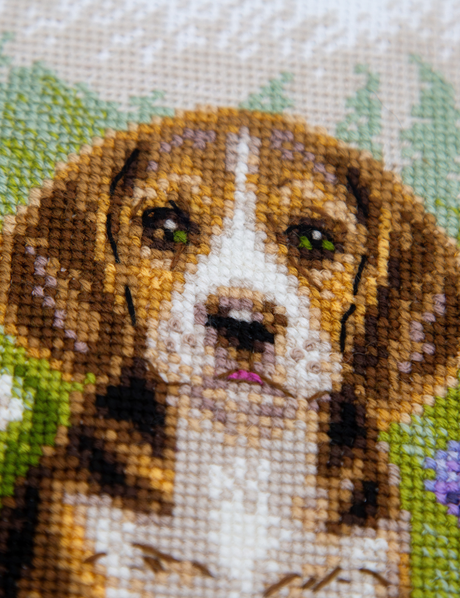 Kit de punto de cruz Aine A1048 – Meadow Pup, cachorro beagle, 20 × 20 cm