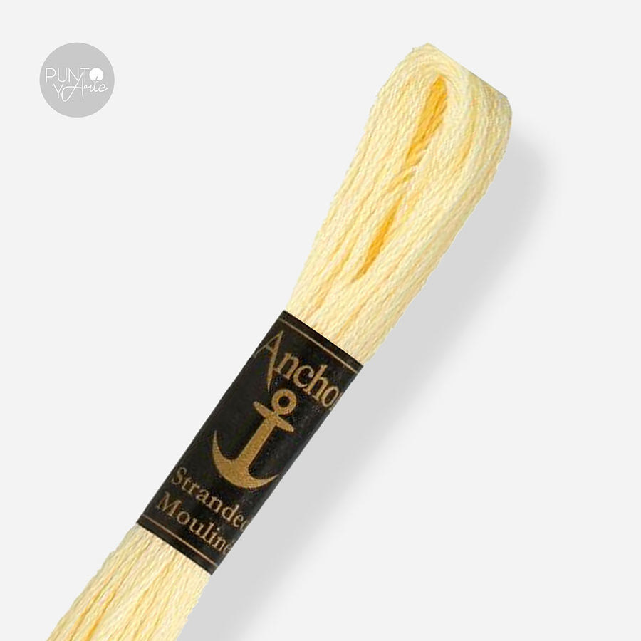 0300 Anchor Stranded Mouliné: Quality and Color for Your Embroidery 