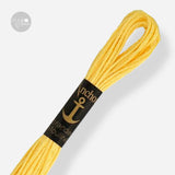 0305 Anchor Stranded Mouliné: Quality and Color for Your Embroidery 