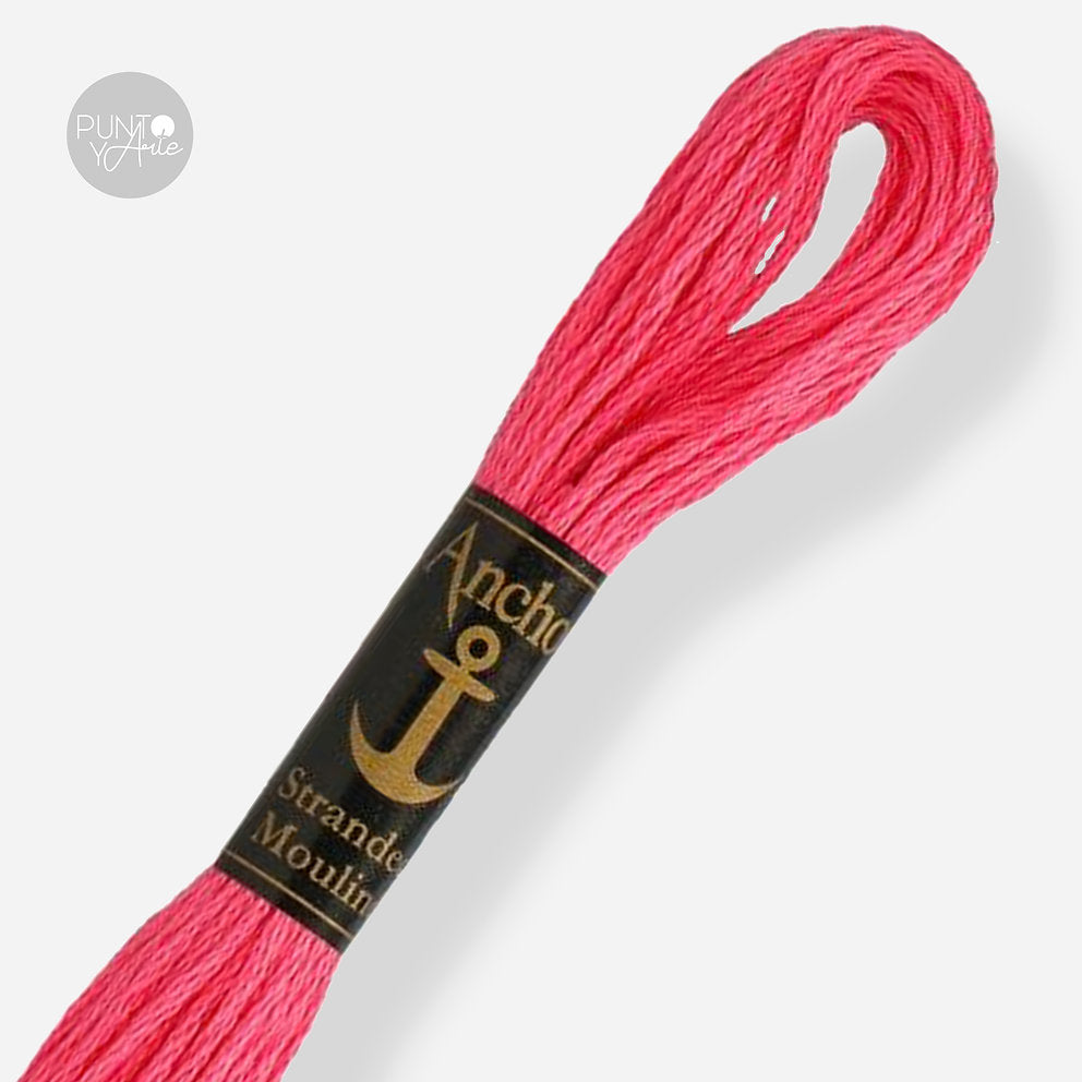 0041 Anchor Stranded Mouliné: Quality and Color for Your Embroidery